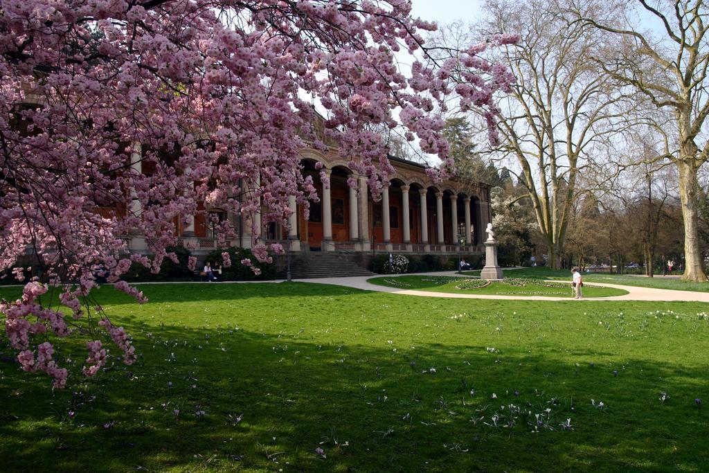 Apparthaus Pfeifer Baden-Baden Buitenkant foto